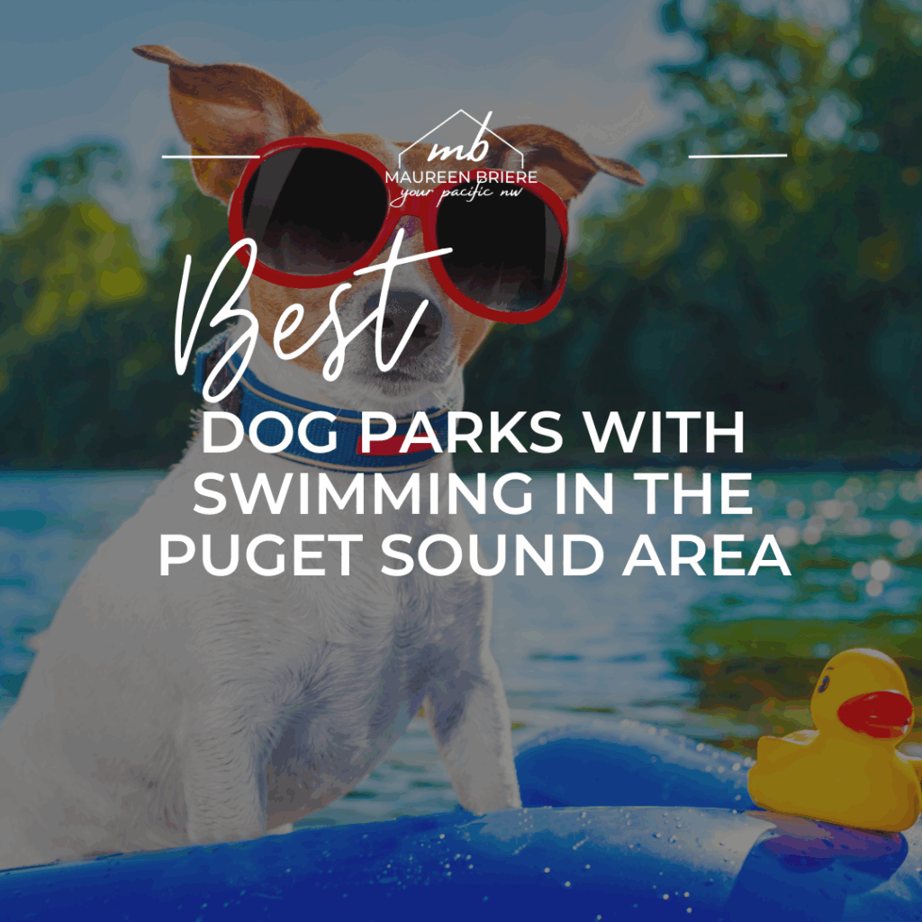 Discover the best dog parks with swimming in the Puget Sound region—from lakeside beaches to off-leash areas near the water. Perfect for summer fun with your pup!