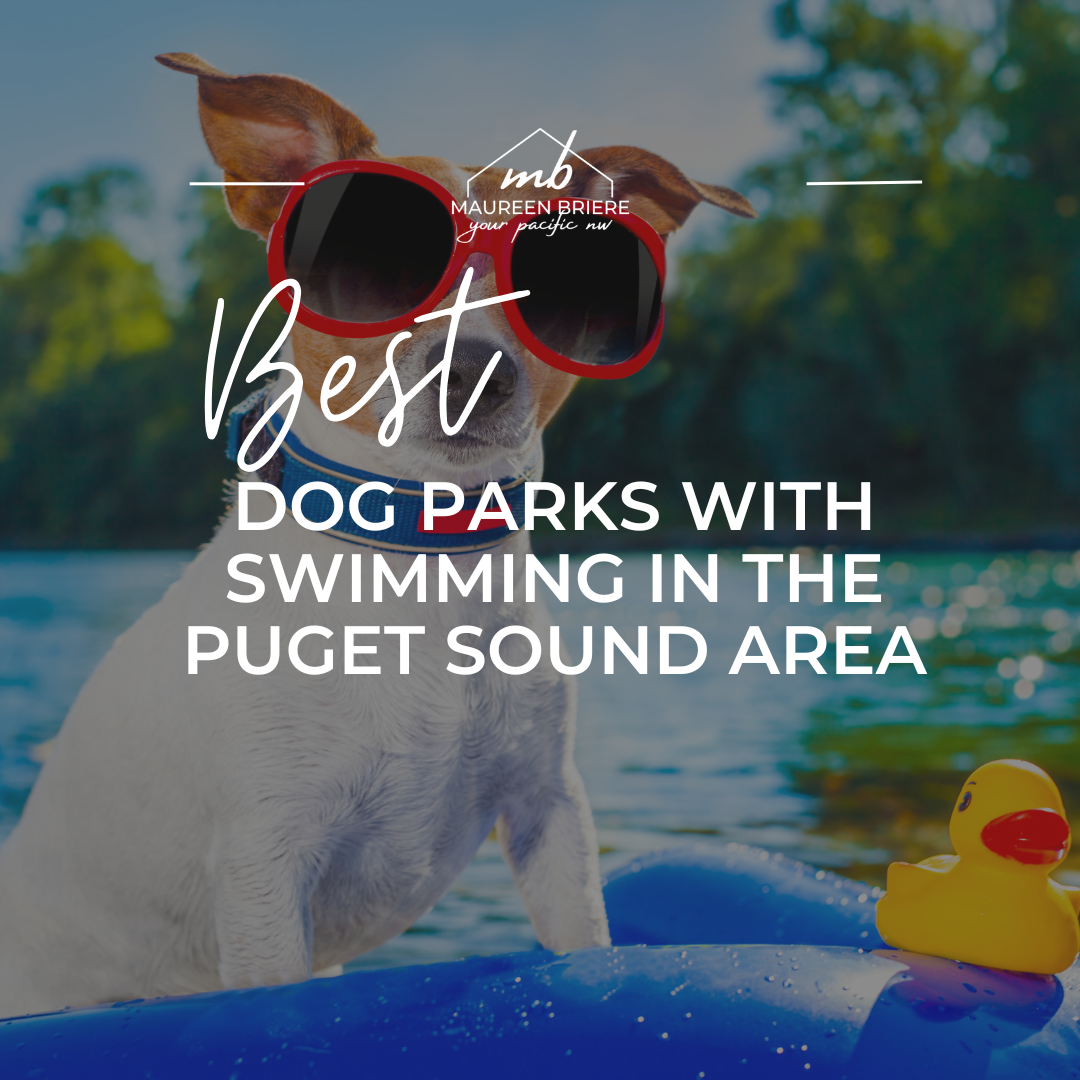 Discover the best dog parks with swimming in the Puget Sound region—from lakeside beaches to off-leash areas near the water. Perfect for summer fun with your pup!