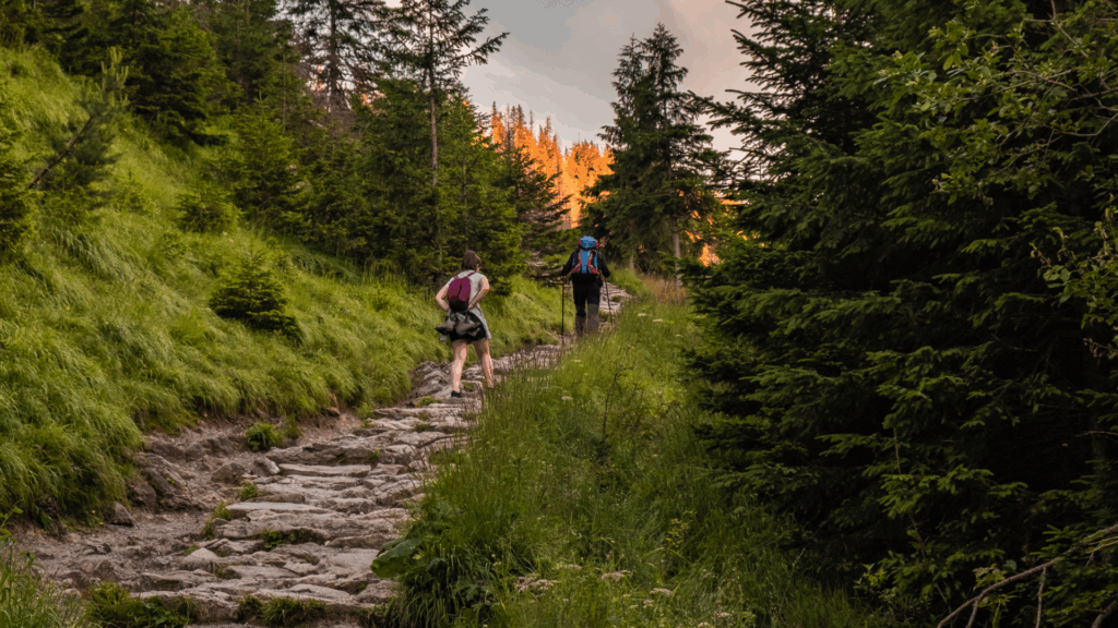 Discover the best hiking trails on the Eastside — from family-friendly waterfall walks to scenic mountain views. Honest difficulty notes, trail maps, and insider local tips from Your Pacific NW.