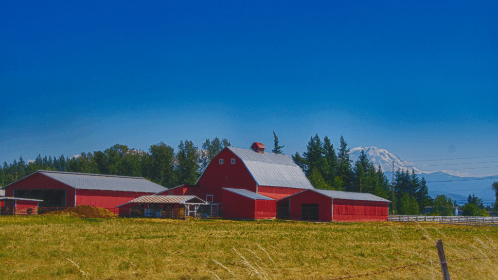 Classic red barn in Enumclaw, Washington with Mount Rainier in the background