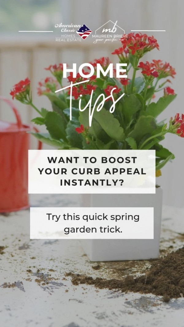 Brighten your entryway with a container garden—use mixed annuals in complementary colors for a quick, affordable curb appeal refresh! 👌Bonus: it’s renter-friendly too.Try it and tag us in your garden glow-up!

PNWHomeTips CurbAppealGoals SpringGardening HomeHackWednesday americanclassichomes maureenbriere yourpacificnw