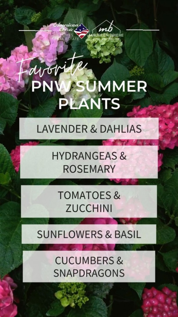 Still learning my way through summer gardening? 🌱 Same here! After taking over my dad’s beautiful gardens, I've been figuring it out one season at a time. I just shared my favorite easy tips (and a few lessons learned) for gardening here in the Pacific Northwest — from plant picks to watering tricks. 🪴You can check it out on the blog! https://yourpacificnw.com/outdoors/pnw-summer-gardening-tips/ 🌸 

PNWgardening seattlegardens yourpacificnw